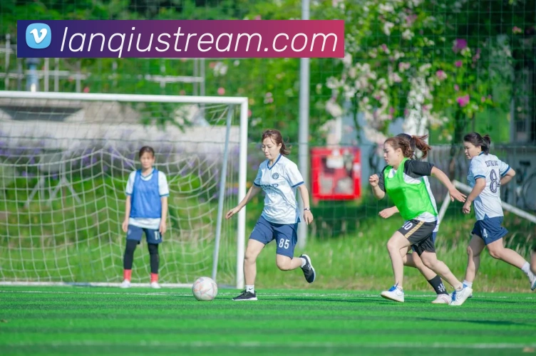 篮球直播品牌故事