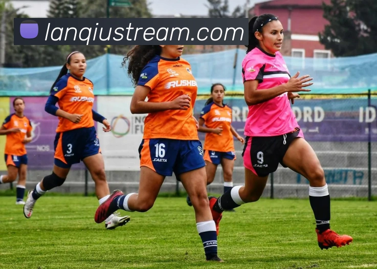 篮球直播服务体系